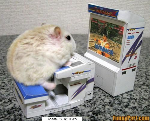 Calculatoare:)) - macar a castigat??? a castigaaaaaaaaaat!!!!!! - Foto haioase ptr orice varsta