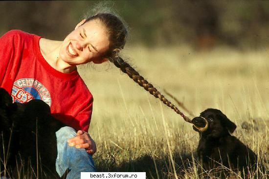 new - some new things...;)) - Animale 1