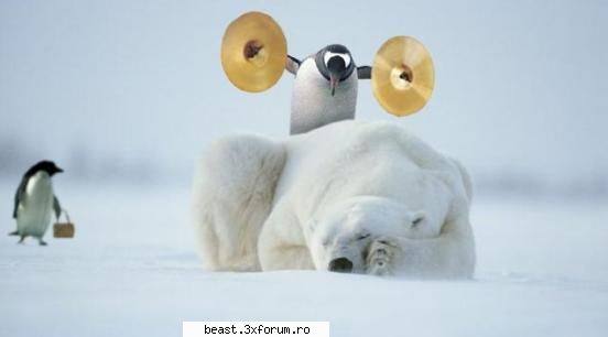 newwwwww - TREZIREAAAAAAAAAAAAAAAAAAAAAAAAAAAAA - Animale 2